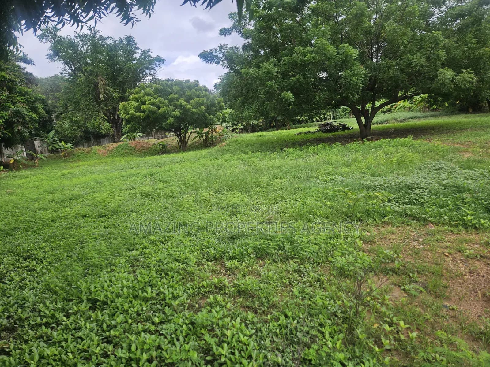 5.89 Acres of Main Roadside Commercial Land for Sale at the Airport - Land in Greater Accra, Airport Residential Area - Sale