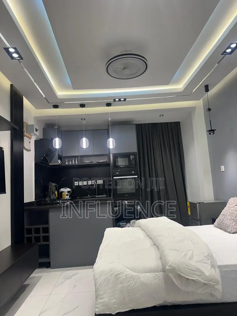 Furnished 1bdrm Apartment in Palace Mall Area, East Legon for rent - 1 bedroom Commercial in Greater Accra, East Legon - Rent