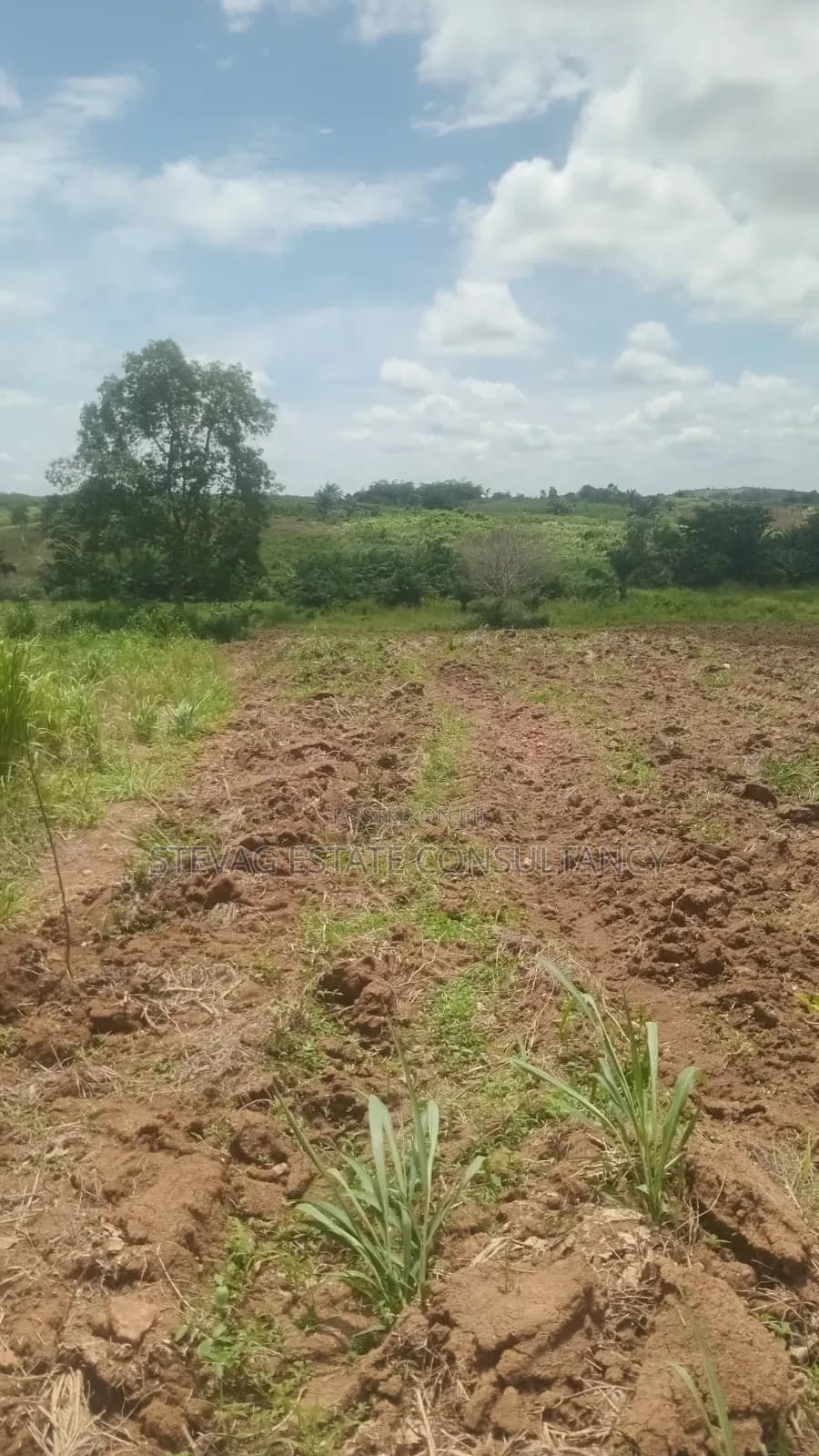 Land for Sale at Nsawam Otukwadwo - Land in Eastern Region, Akuapim North - Sale